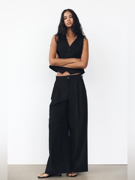 Zara Pants - Zara Wide-Leg Black Dress Pants Double Pleated Sz M